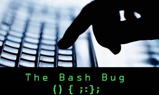 bash bug